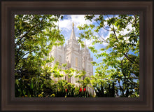 Load image into Gallery viewer, Salt Lake Glimpse of Eternity
