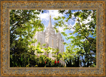 Load image into Gallery viewer, Salt Lake Glimpse of Eternity