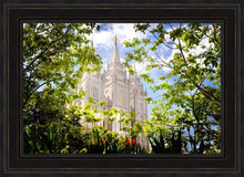 Load image into Gallery viewer, Salt Lake Glimpse of Eternity