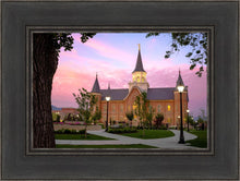 Load image into Gallery viewer, Provo City Center Temple Pioneer Pathways