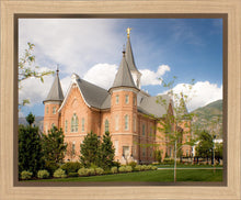 Load image into Gallery viewer, Provo City Center Temple Restored Walls Gallery Wrap