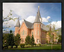 Load image into Gallery viewer, Provo City Center Temple Restored Walls Gallery Wrap