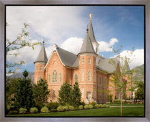 Load image into Gallery viewer, Provo City Center Temple Restored Walls Gallery Wrap