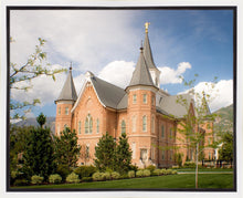 Load image into Gallery viewer, Provo City Center Temple Restored Walls Gallery Wrap