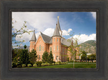 Load image into Gallery viewer, Provo City Center Temple Restored Walls