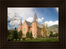 Load image into Gallery viewer, Provo City Center Temple Restored Walls