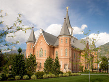Load image into Gallery viewer, Provo City Center Temple Restored Walls