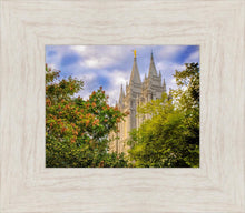 Load image into Gallery viewer, Salt Lake City Temple Autumn Leaves
