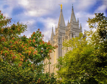 Load image into Gallery viewer, Salt Lake City Temple Autumn Leaves