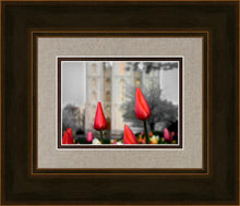 Load image into Gallery viewer, Salt Lake City Temple Beginning Transformation