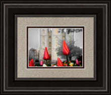 Load image into Gallery viewer, Salt Lake City Temple Beginning Transformation