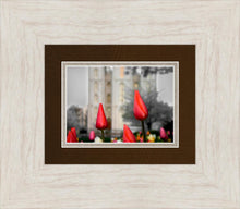 Load image into Gallery viewer, Salt Lake City Temple Beginning Transformation