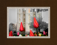 Load image into Gallery viewer, Salt Lake City Temple Beginning Transformation