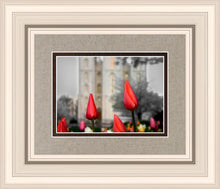 Load image into Gallery viewer, Salt Lake City Temple Beginning Transformation