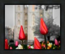 Load image into Gallery viewer, Salt Lake City Temple Beginning Transformation Gallery Wrap