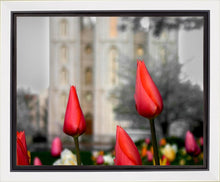 Load image into Gallery viewer, Salt Lake City Temple Beginning Transformation Gallery Wrap