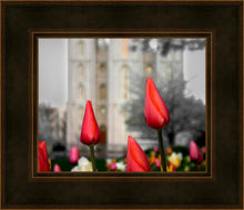 Load image into Gallery viewer, Salt Lake City Temple Beginning Transformation