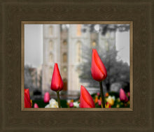 Load image into Gallery viewer, Salt Lake City Temple Beginning Transformation
