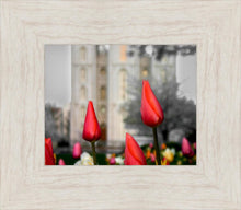 Load image into Gallery viewer, Salt Lake City Temple Beginning Transformation