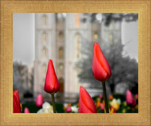 Load image into Gallery viewer, Salt Lake City Temple Beginning Transformation