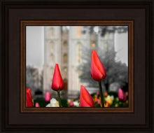 Load image into Gallery viewer, Salt Lake City Temple Beginning Transformation