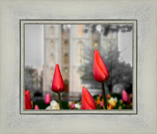 Load image into Gallery viewer, Salt Lake City Temple Beginning Transformation