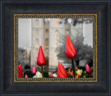 Load image into Gallery viewer, Salt Lake City Temple Beginning Transformation