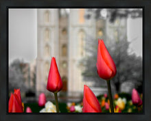 Load image into Gallery viewer, Salt Lake City Temple Beginning Transformation Gallery Wrap