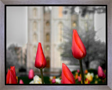 Load image into Gallery viewer, Salt Lake City Temple Beginning Transformation Gallery Wrap