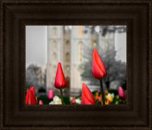 Load image into Gallery viewer, Salt Lake City Temple Beginning Transformation
