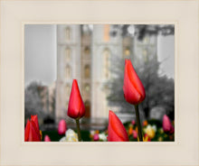 Load image into Gallery viewer, Salt Lake City Temple Beginning Transformation