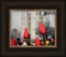 Load image into Gallery viewer, Salt Lake City Temple Beginning Transformation