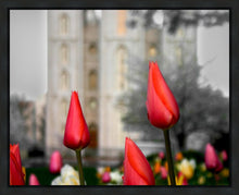 Load image into Gallery viewer, Salt Lake City Temple Beginning Transformation Gallery Wrap
