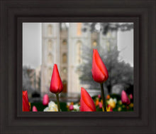 Load image into Gallery viewer, Salt Lake City Temple Beginning Transformation