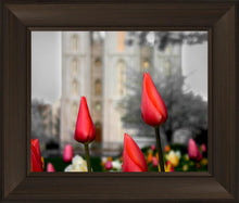 Load image into Gallery viewer, Salt Lake City Temple Beginning Transformation