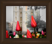 Load image into Gallery viewer, Salt Lake City Temple Beginning Transformation
