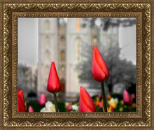 Load image into Gallery viewer, Salt Lake City Temple Beginning Transformation