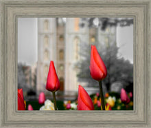 Load image into Gallery viewer, Salt Lake City Temple Beginning Transformation
