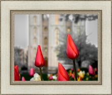 Load image into Gallery viewer, Salt Lake City Temple Beginning Transformation