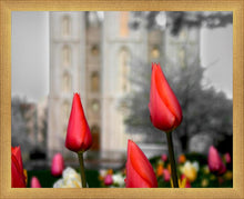 Load image into Gallery viewer, Salt Lake City Temple Beginning Transformation