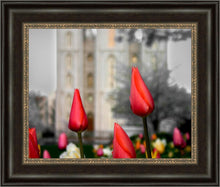 Load image into Gallery viewer, Salt Lake City Temple Beginning Transformation