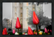 Load image into Gallery viewer, Salt Lake City Temple Beginning Transformation Gallery Wrap