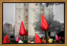 Load image into Gallery viewer, Salt Lake City Temple Beginning Transformation Gallery Wrap