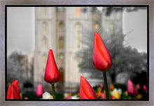 Load image into Gallery viewer, Salt Lake City Temple Beginning Transformation Gallery Wrap