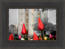 Load image into Gallery viewer, Salt Lake City Temple Beginning Transformation