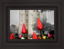 Load image into Gallery viewer, Salt Lake City Temple Beginning Transformation