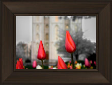 Load image into Gallery viewer, Salt Lake City Temple Beginning Transformation