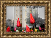 Load image into Gallery viewer, Salt Lake City Temple Beginning Transformation