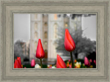 Load image into Gallery viewer, Salt Lake City Temple Beginning Transformation