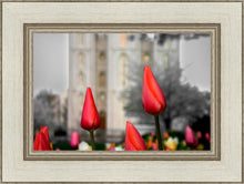 Load image into Gallery viewer, Salt Lake City Temple Beginning Transformation